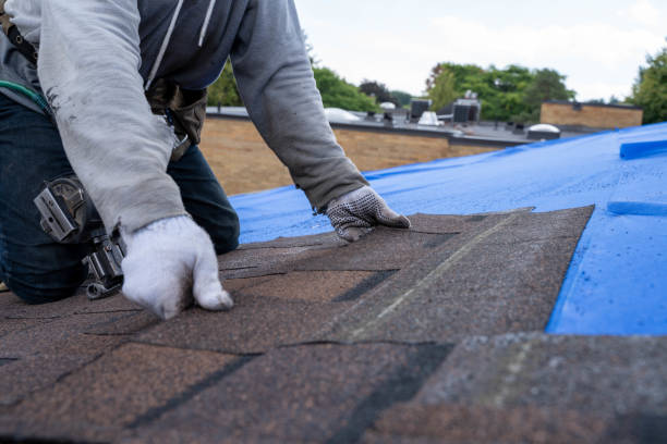 Best Storm Damage Roof Repair  in Oakville, CT